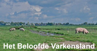 Het Beloofde Varkensland