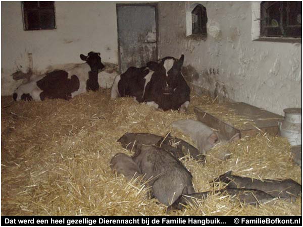 Dat werd een heel gezellige Dierennacht bij de Familie Hangbuik...