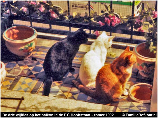 De drie wijffies op het balkon in de P.C.Hooftstraat - zomer 1992