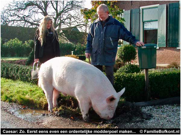 Caesar: Zo. Eerst eens even een ordentelijke modderpoel maken...