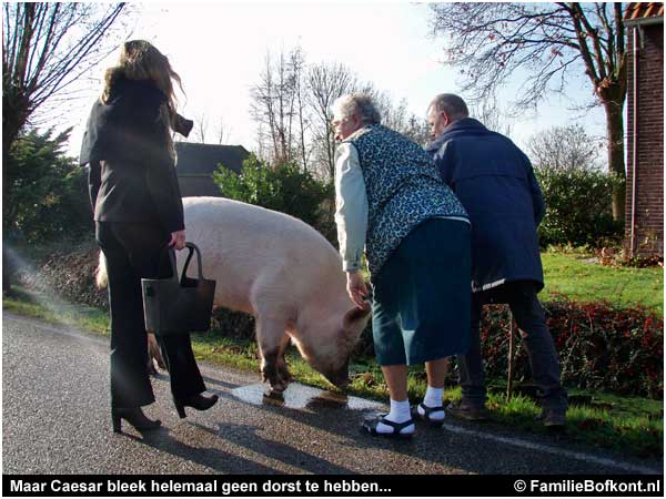 Caesar: Tot hier en geen stap verder!