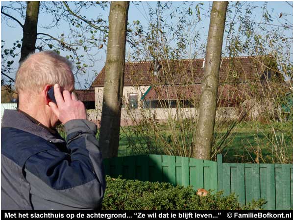 Met het slachthuis op de achtergrond...