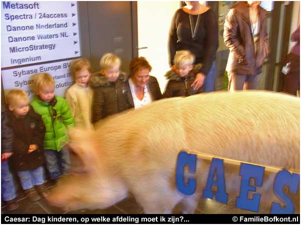 Caesar: Dag kinderen, op welke afdeling moet ik zijn?...