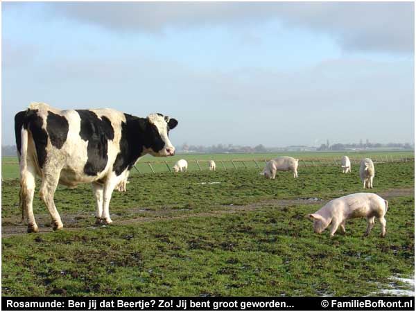 Rosamunde: Ben jij dat Beertje? Zo! Jij bent groot geworden...