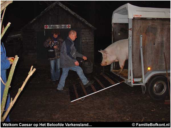 Welkom Caesar op Het Beloofde Varkensland...