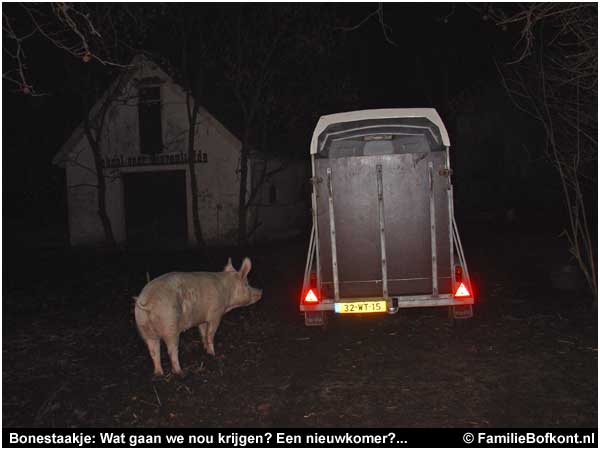 Bonestaakje: Wat gaan we nou krijgen? Een nieuwkomer?...