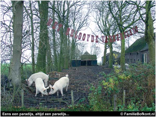 Eens een paradijs, altijd een paradijs...